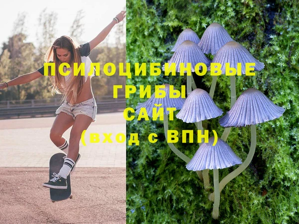 гашик Балахна