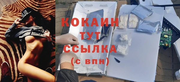 гашик Балахна